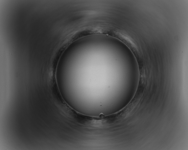 X0000095130314200712141202