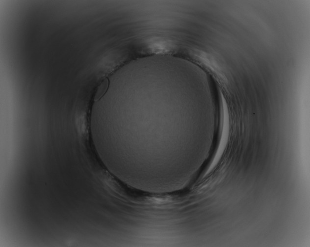 X0000095130317200712141201