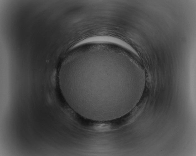 X0000095130319200712141201