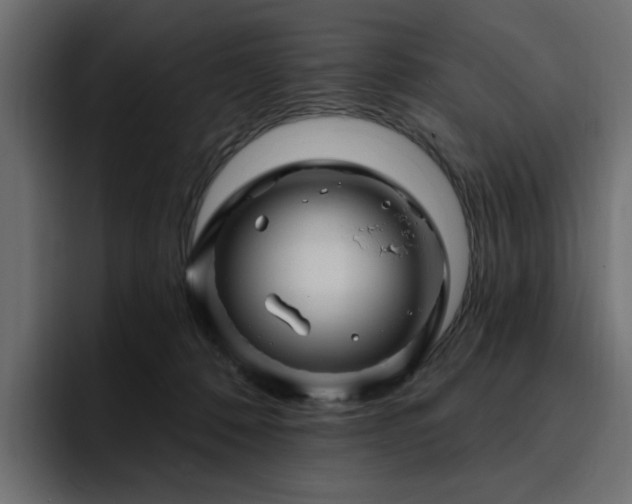 X0000095130320200712141201