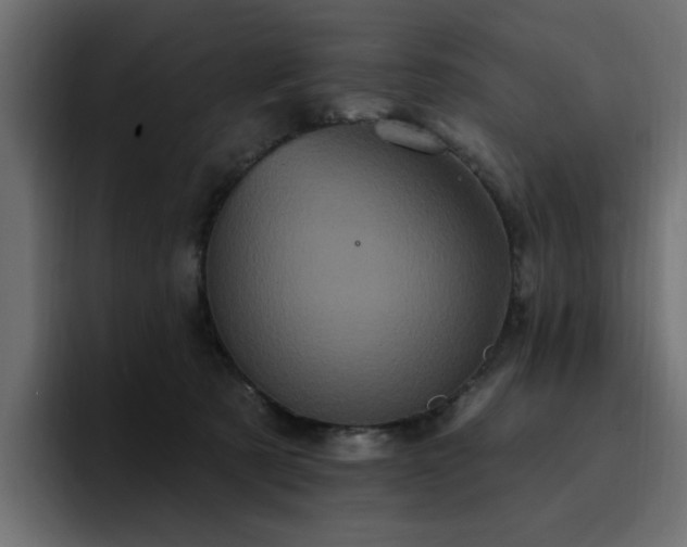 X0000095130321200712141201