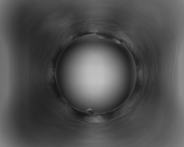 X0000095130322200712141201