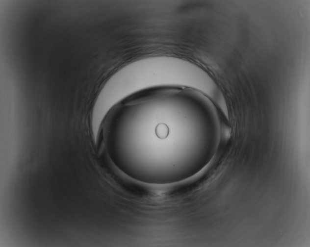 X0000095130325200712141201