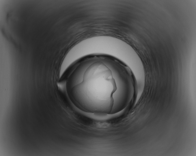 X0000095130327200712141201