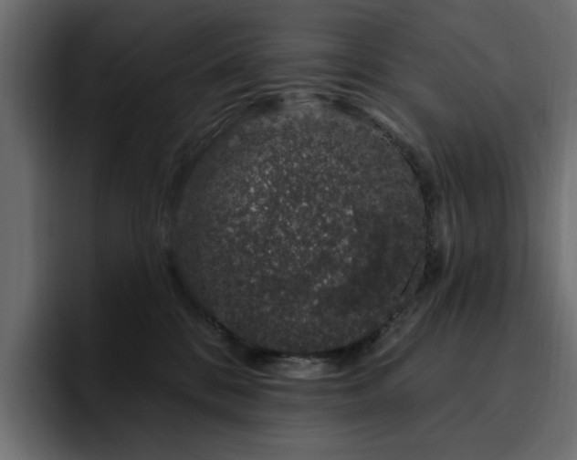 X0000095130328200712141201