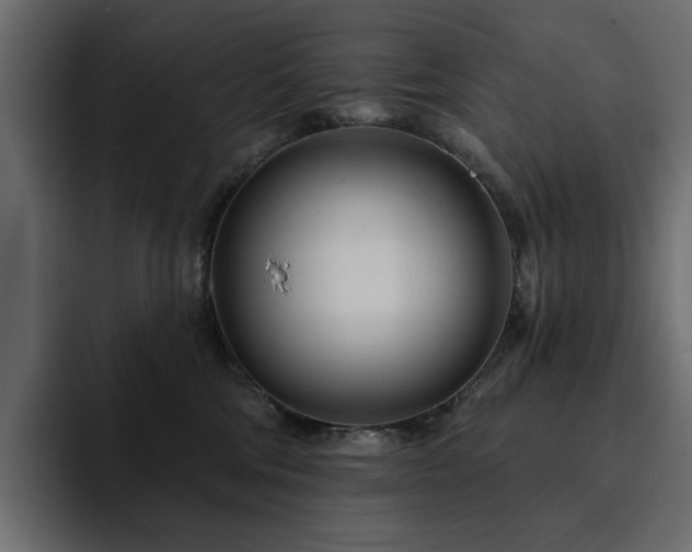 X0000095130330200712141201