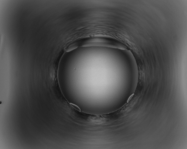 X0000095130331200712141201