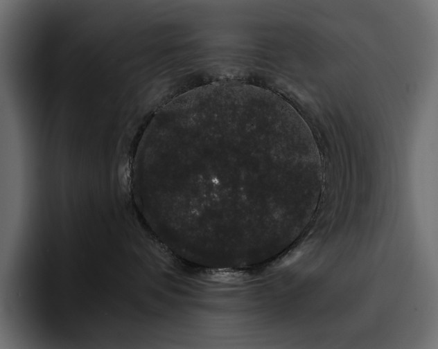 X0000095130336200712141201