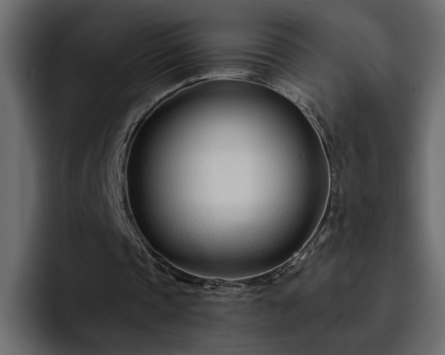 X0000095130337200712141201