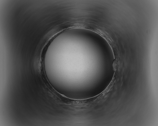 X0000095130338200712141201