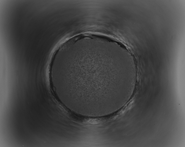 X0000095130341200712141201