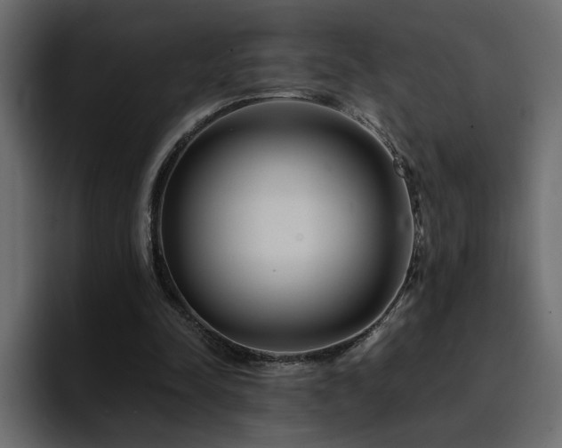 X0000095130342200712141201