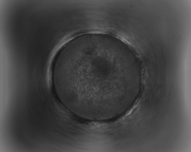 X0000095130343200712141201