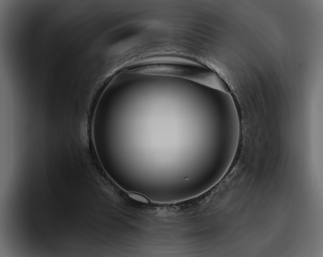 X0000095130345200712141201