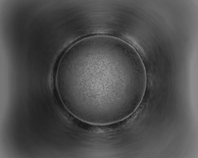 X0000095130346200712141201