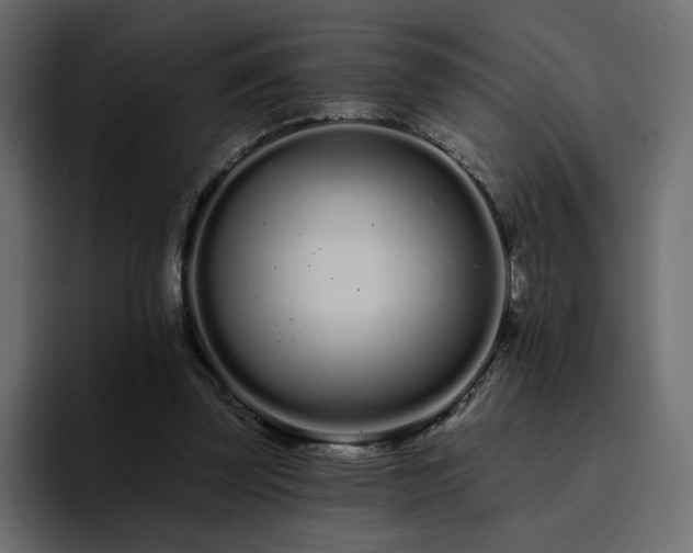 X0000095130347200712141201