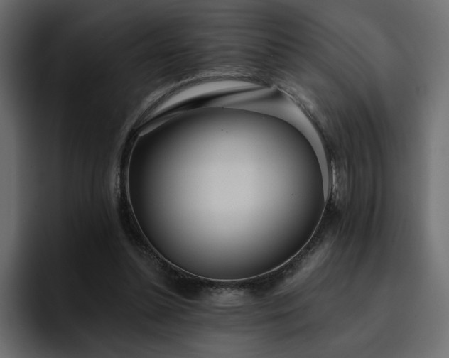 X0000095130348200712141201