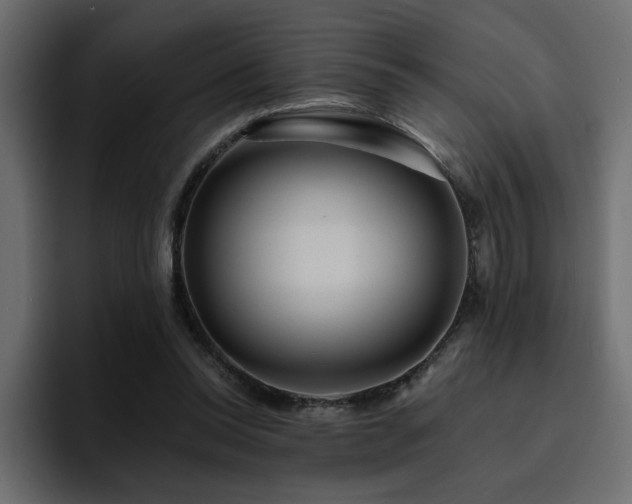 X0000095130350200712141201