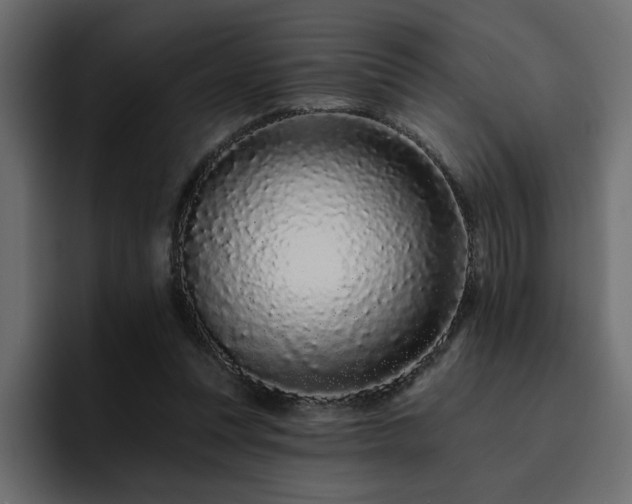 X0000095130351200712141201