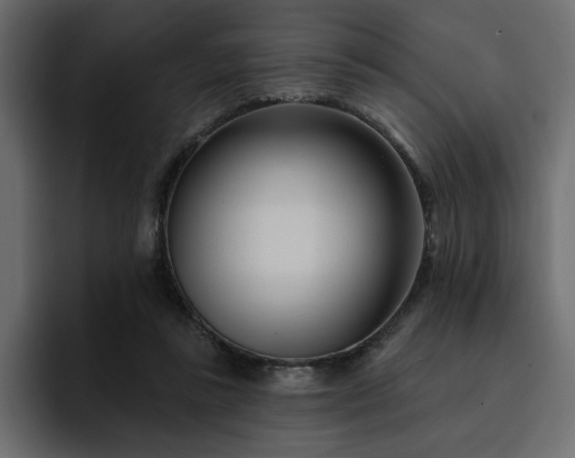 X0000095130355200712141201