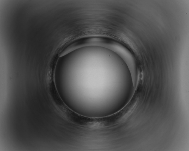 X0000095130356200712141201