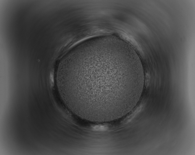 X0000095130358200712141201