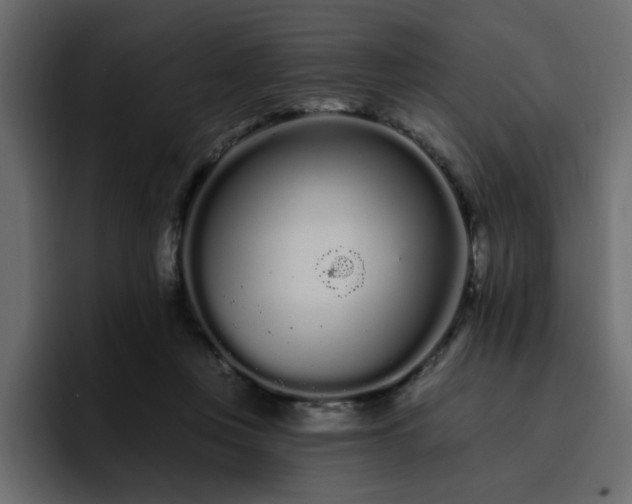 X0000095130359200712141201