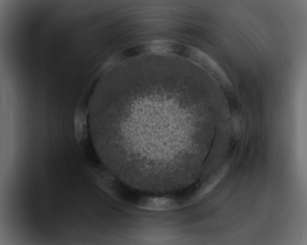 X0000095130360200712141201