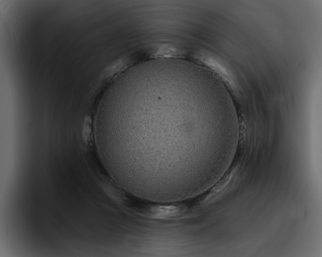 X0000095130361200712141201