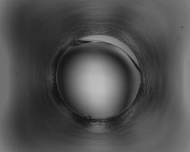 X0000095130362200712141201