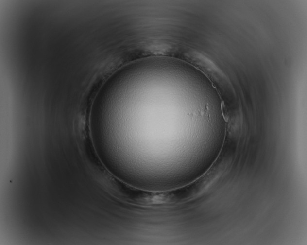 X0000095130365200712141201