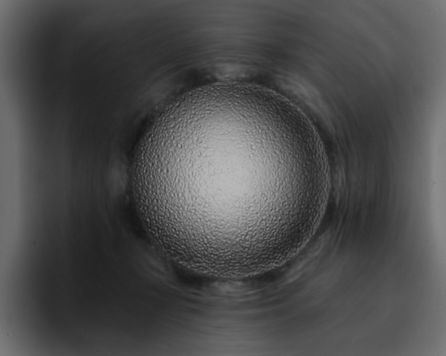 X0000095130367200712141201