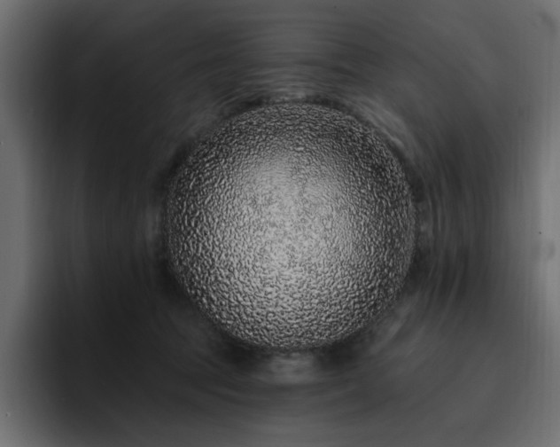 X0000095130369200712141201