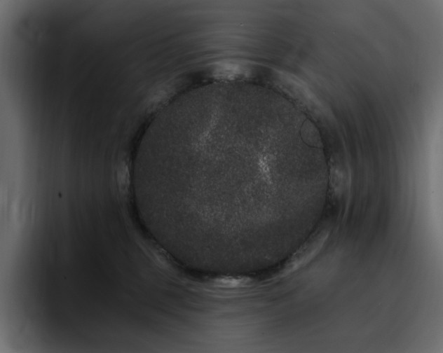 X0000095130375200712141201