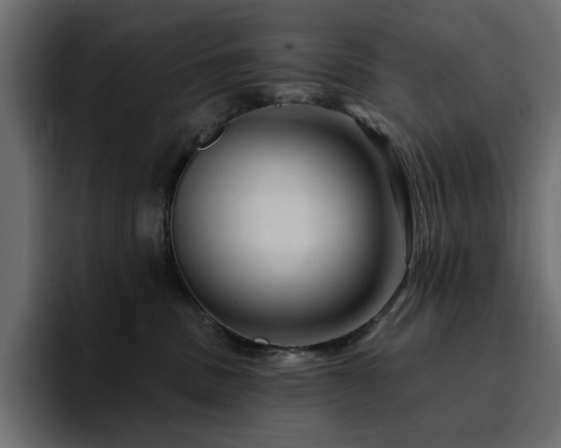 X0000095130379200712141201