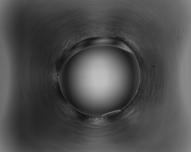 X0000095130384200712141201