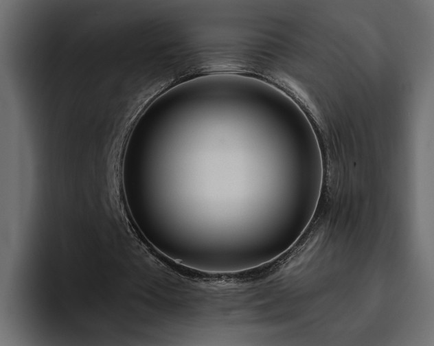 X0000095130385200712141201