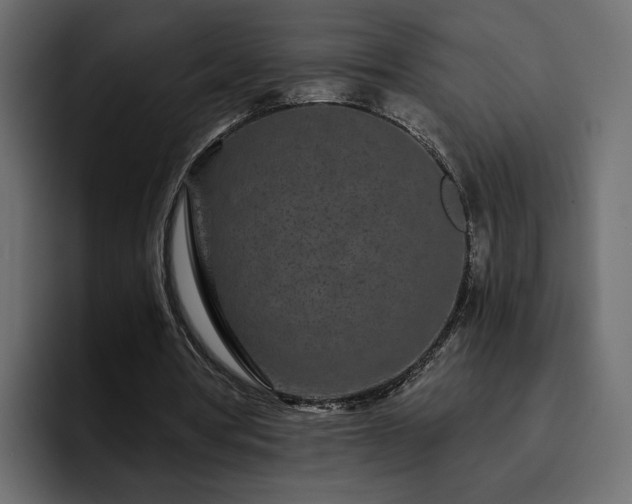 X0000095130386200712141201