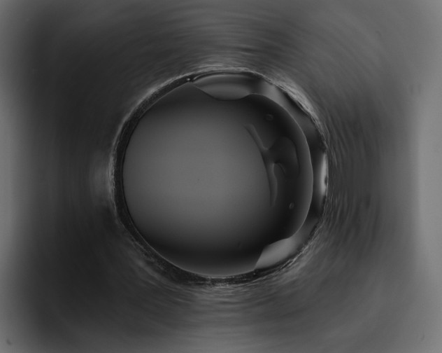 X0000095130387200712141201