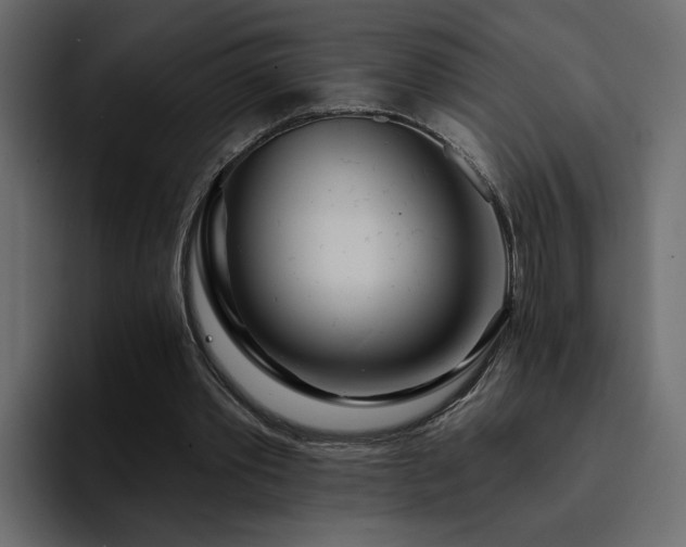 X0000095130389200712141201