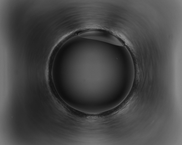 X0000095130391200712141201