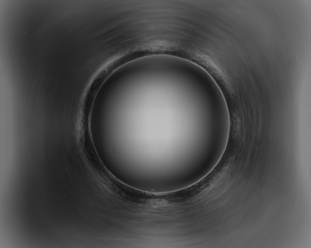 X0000095130392200712141201