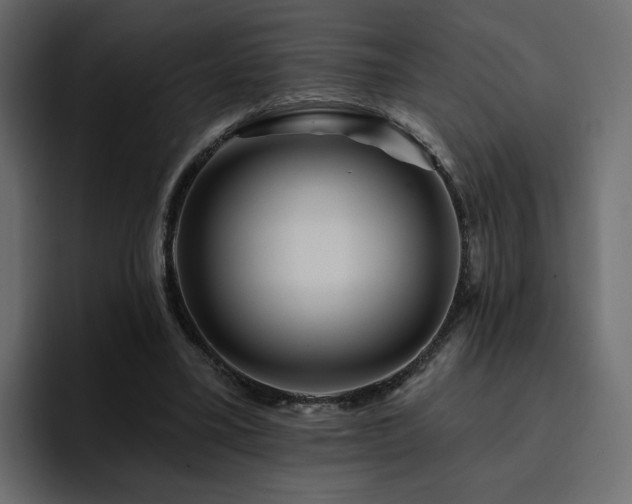 X0000095130395200712141200