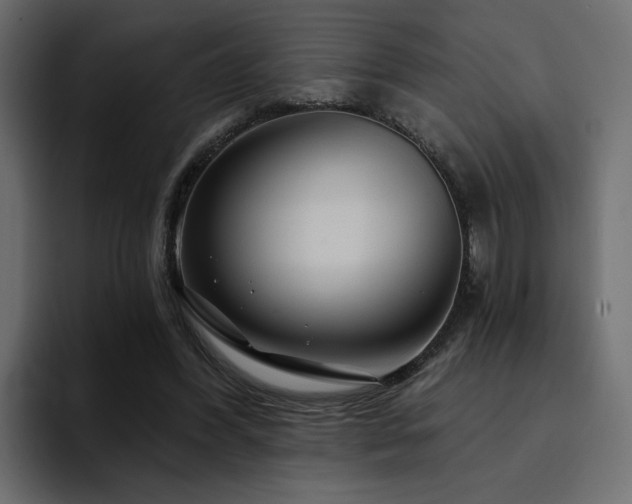 X0000095130396200712141200