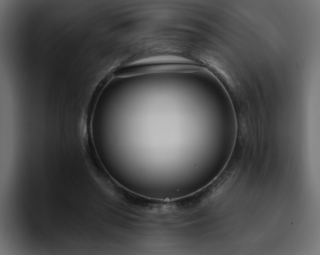 X0000095130398200712141200