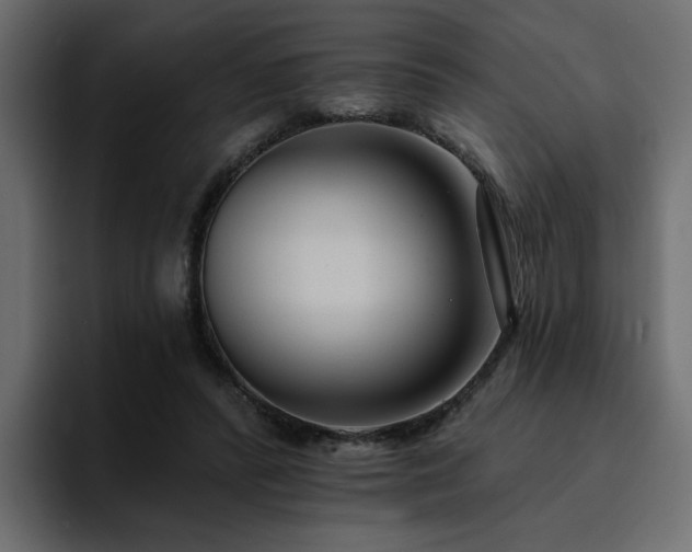 X0000095130400200712141200