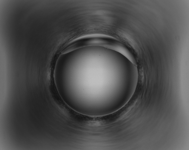 X0000095130404200712141200