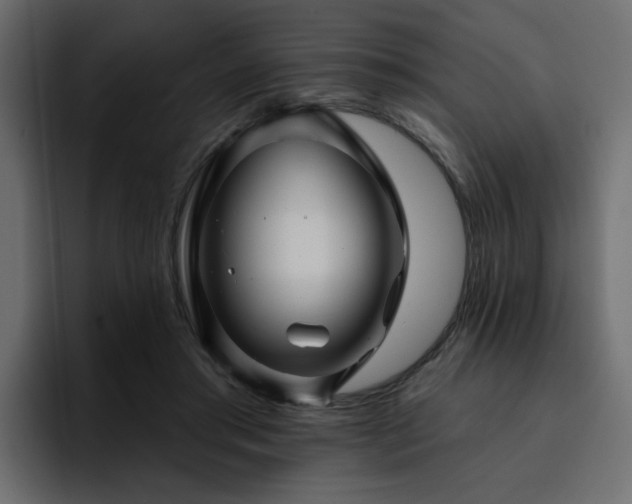 X0000095130405200712141200