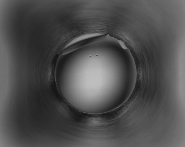 X0000095130408200712141200