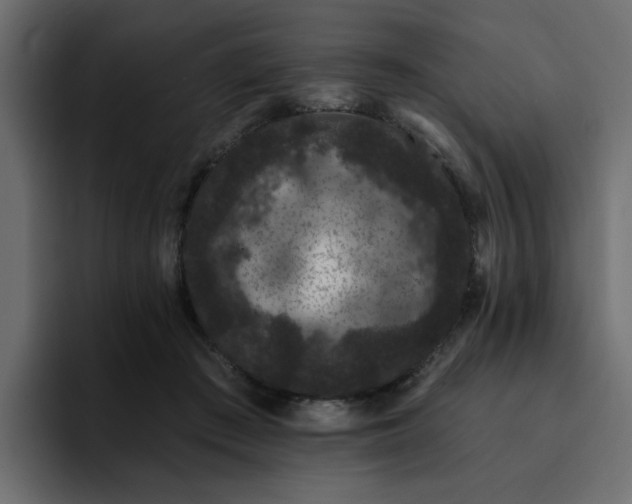 X0000095130409200712141200